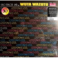 Ebo Taylor Jnr With Wuta Wazutu - Gotta Take It Cool, LP, Reissue