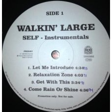 Walkin' Large - Self (Instrumentals), LP, Promo