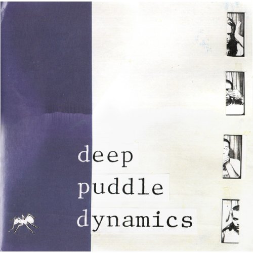 Deep Puddle Dynamics - The Taste Of Rain... Why Kneel, 2xLP