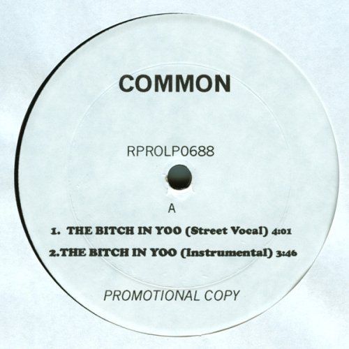 Common - The Bitch In Yoo / Reminding Me (Of Sef), 12"