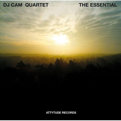 DJ Cam Quartet - The Essential, LP