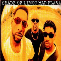Shadz Of Lingo - Mad Flavaz, 12"