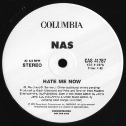 Nas - Hate Me Now, 12", Promo