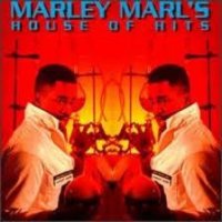 Marley Marl - Marley Marl's House Of Hits, 2xLP