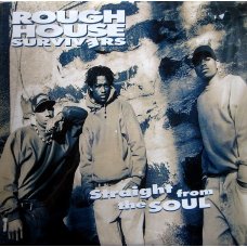 Rough House Survivers - Straight From The Soul, LP