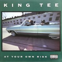 King Tee - At Your Own Risk, LP