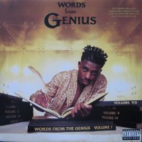 The Genius - Words From The Genius, LP