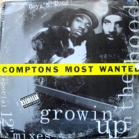 Comptons Most Wanted - Growin' Up In The Hood, 12"