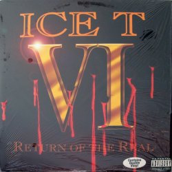 Ice T - VI: Return Of The Real, 2xLP