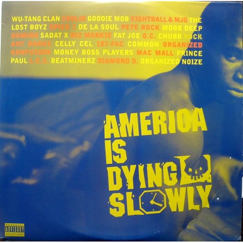 Various - America Is Dying Slowly, 2xLP