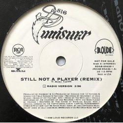 Big Punisher - Still Not A Player, 12", Promo