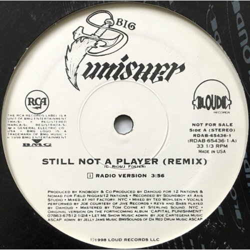 Big Punisher - Still Not A Player, 12", Promo