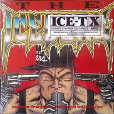 Ice-T - The Iceberg (Freedom Of Speech... Just Watch What You Say), LP