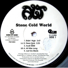 ALT - Stone Cold World, LP