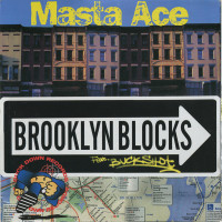 Masta Ace - Brooklyn Blocks / Last Bref, 12"