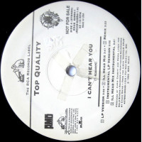 Top Quality - I Can't Hear You / What, 12", Promo