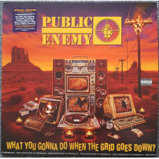 Public Enemy - What You Gonna Do When The Grid Goes Down?, LP