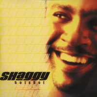 Shaggy - Hot Shot, 2xLP