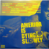 Various - America Is Dying Slowly, 2xLP