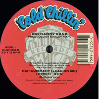 Big Daddy Kane - Rap Summary (Lean On Me), 12"