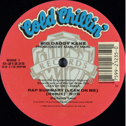 Big Daddy Kane - Rap Summary (Lean On Me), 12"