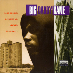 Big Daddy Kane - Looks Like A Job For..., LP