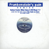 Frankenstein - What Does It All Mean / The Pain Remixx, 12"