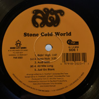 ALT - Stone Cold World, LP