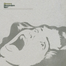 Skream - Skreamizm Vol: 1, 2x12"
