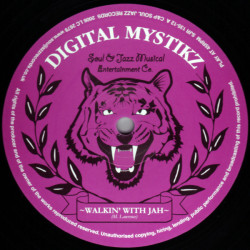 Digital Mystikz - Walkin' With Jah / Earth A Run Red, 12"