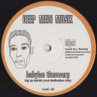 Hijak - Babylon Timewarp (Root Dedication Mix) / Dally, 12"