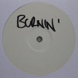 Richie Spice - Burning (Remix), 12", Single Sided