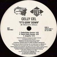 Celly Cel - It's Goin' Down, 12", Promo
