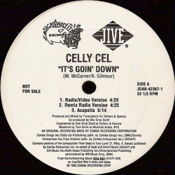 Celly Cel - It's Goin' Down, 12", Promo