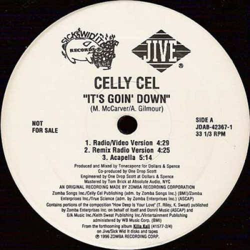 Celly Cel - It's Goin' Down, 12", Promo