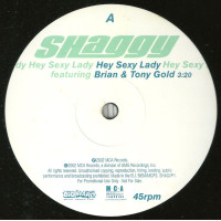 Shaggy Featuring Brian & Tony Gold - Hey Sexy Lady, 12", Promo