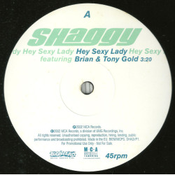 Shaggy Featuring Brian & Tony Gold - Hey Sexy Lady, 12", Promo