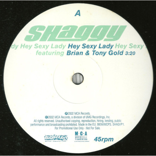 Shaggy Featuring Brian & Tony Gold - Hey Sexy Lady, 12", Promo