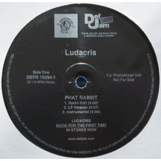 Ludacris - Phat Rabbit / U Got A Problem?, 12", Promo