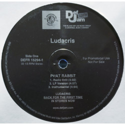 Ludacris - Phat Rabbit / U Got A Problem?, 12", Promo