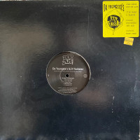 Da Youngsta's ILLY Funkstaz - I'll Make You Famous / Bloodshed And War, 12"