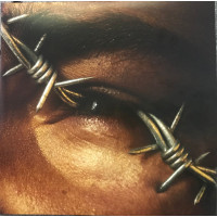 Post Malone - Beerbongs & Bentleys, 2xLP