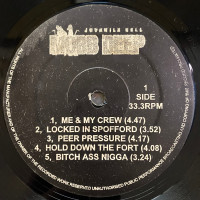 Mobb Deep - Juvenile Hell, LP