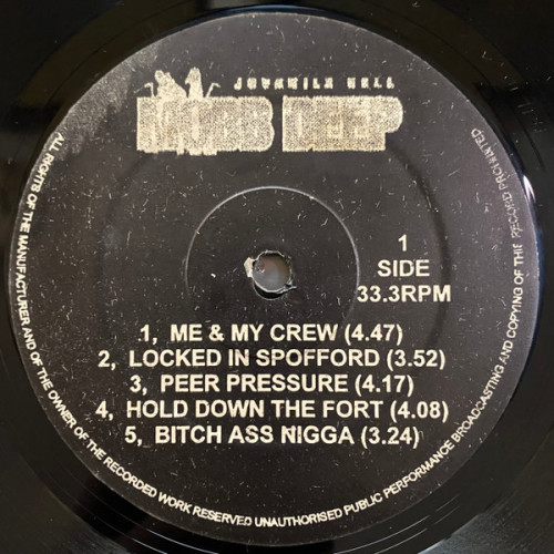 Mobb Deep - Juvenile Hell, LP