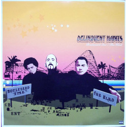 Delinquent Habits - Boulevard Star / The Kind, 12"