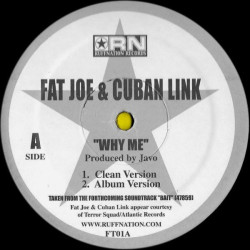 Fat Joe & Cuban Link - Why Me?, 12"