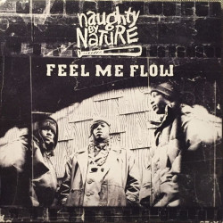 Naughty By Nature - Feel Me Flow, 12"