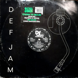 3rd Bass - Steppin' To The AM / The Cactus, 12"
