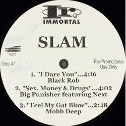 Various - Slam The Sampler, 12", Promo, Sampler