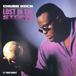 Chubb Rock - Lost In The Storm, 12"